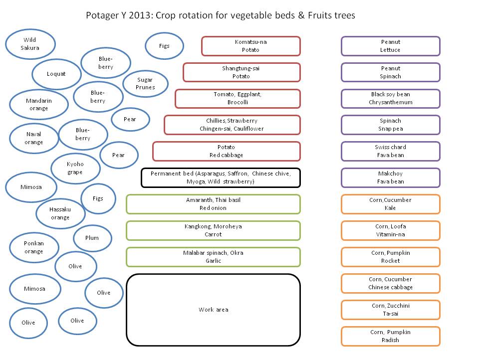 Okra Companion Planting Chart
